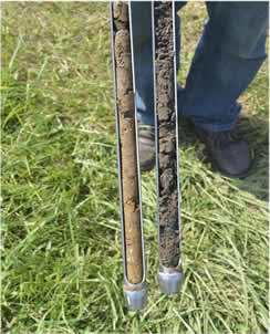 Image - soil core samples. Photo credit: David R. Montgomery Caption -  Soil building practices, like no-till and composting, can build soil organic matter and improve soil fertility.